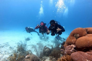 San Andres: SCUBA Diving Experience with Hotel Pickup