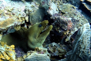 San Andres: SCUBA Diving Experience with Hotel Pickup