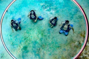 San Andres: SCUBA Diving Experience with Hotel Pickup