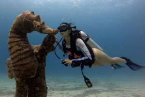 San Andres: SCUBA Diving Experience with Hotel Pickup