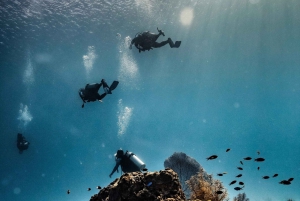 San Andres: SCUBA Diving Experience with Hotel Pickup