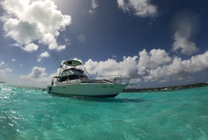 Santa Marta Chiva Rumbera VIP + Cerveza