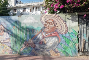 Santa Marta: Byrundtur med adgang til Quinta de San Pedro