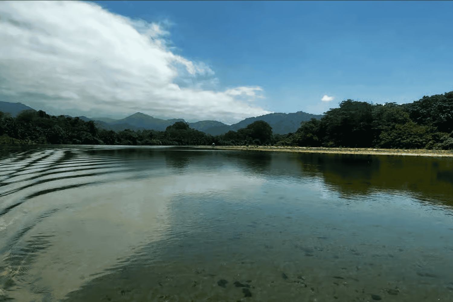 サンタマルタ：ドン・ディエゴ川パドルボード＆チョコレートツアー