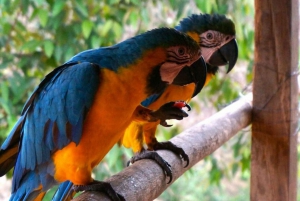 Santa Marta: Multi-Day Trek to The Lost City