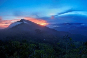 Santa Marta: Multi-Day Trek to The Lost City