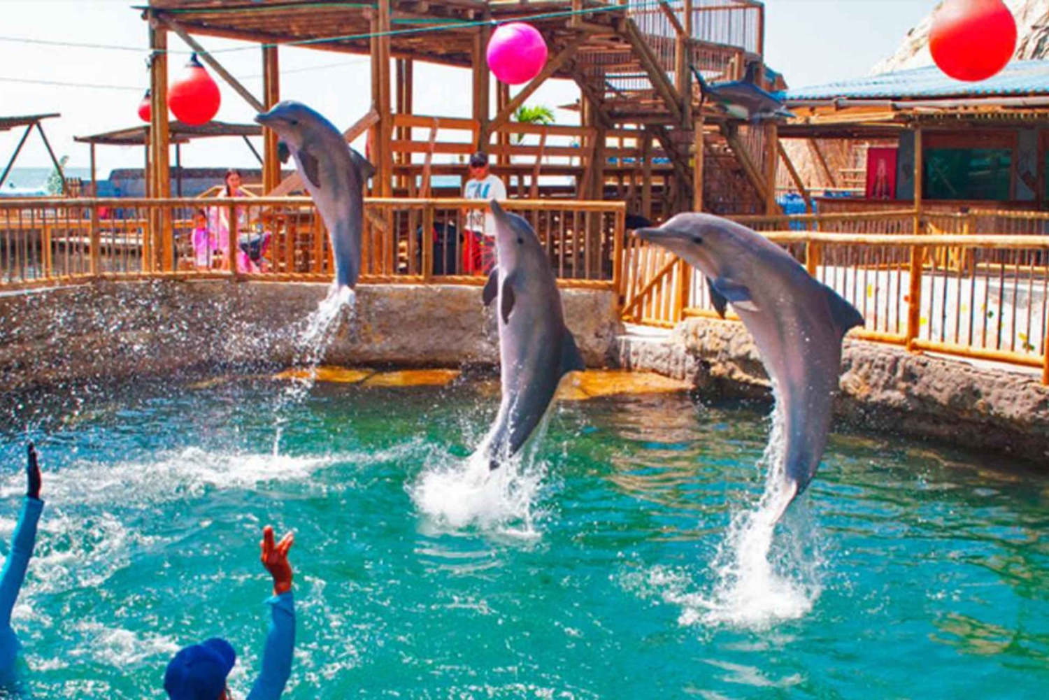 САНТА-МАРТА: экскурсия с посещением аквариума и трансфером на Плайя-Бланка!