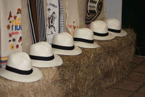 Tardeo Paisa: Medellín - Provenza wandeltour