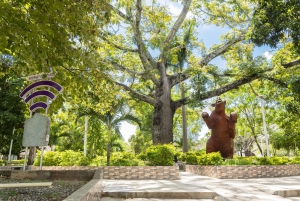 Tour di 3 giorni del deserto di Tatacoa e di Villavieja