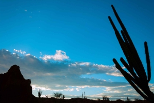 Tour di 3 giorni del deserto di Tatacoa e di Villavieja
