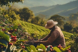 Arhuaco – rdzenna wioska w Mince: natura i mądrość