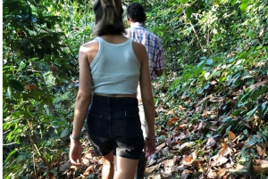 Arhuaco – rdzenna wioska w Mince: natura i mądrość