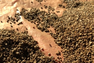 Arhuaco – rdzenna wioska w Mince: natura i mądrość