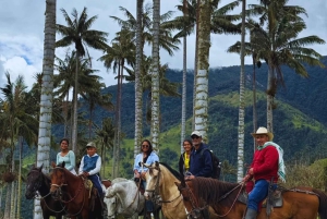 Тропа гигантов: конная прогулка в Ла-Карбонера
