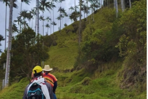 Тропа гигантов: конная прогулка в Ла-Карбонера