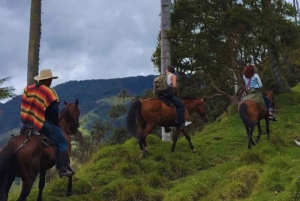 Тропа гигантов: конная прогулка в Ла-Карбонера