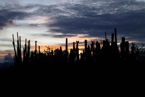 Villavieja: Ridetur i Tatacoa-ørkenen