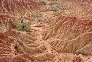 Villavieja: Ridetur i Tatacoa-ørkenen