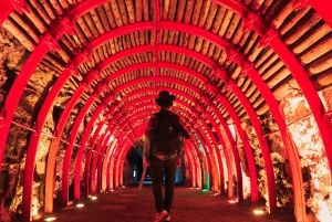 Bogota:Zipaquirá Salt Cathedral & Guatavita Retki noutopalvelun kanssa