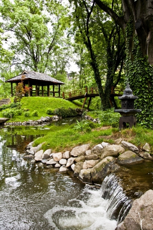 Botanical garden - Jevremovac