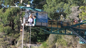 Bungy