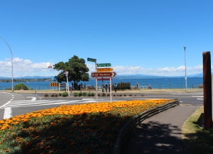 Taupo