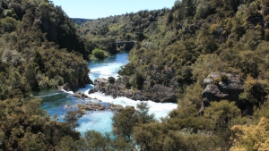 Taupo