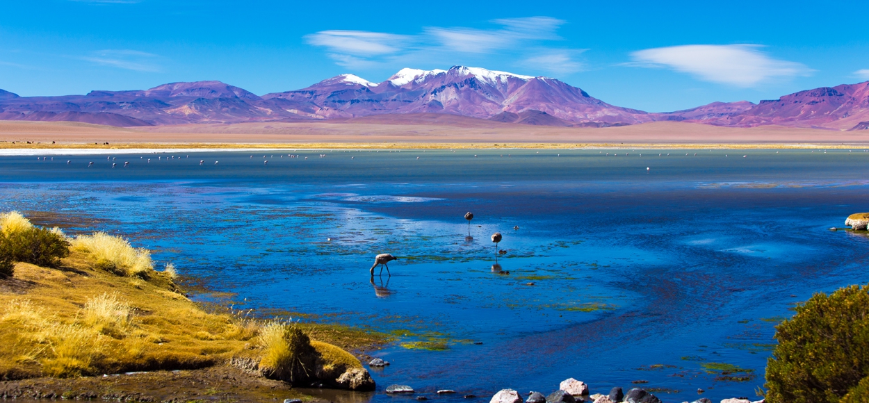 Attention Atacama desert is awarded as the best romantic destination in South America
