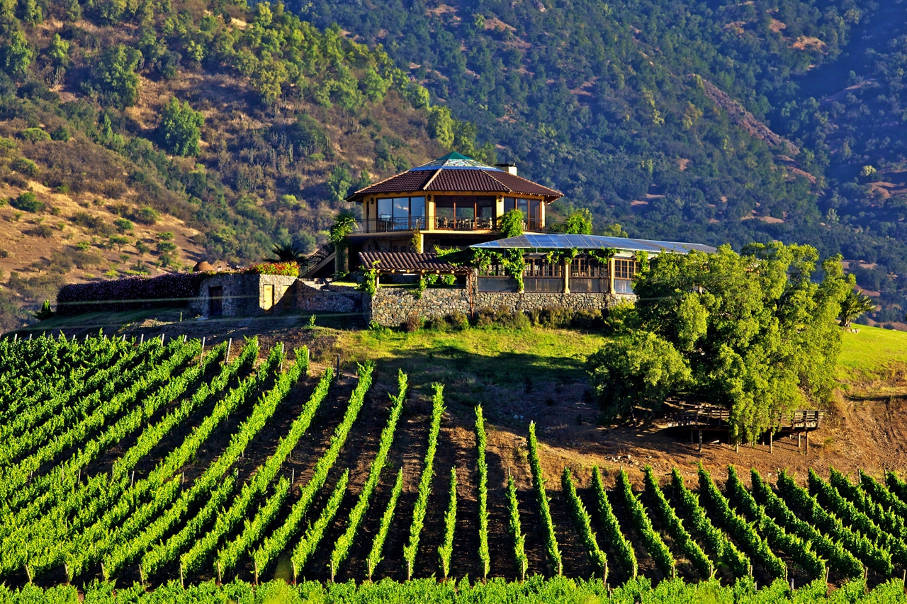 Getting to know the Wineries of Chile