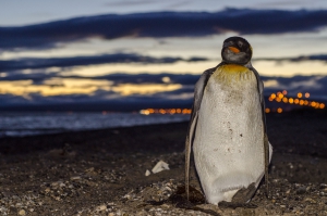 5 Tourist Attractions in Chile That You Should Visit