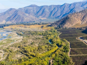 Getting to know the Wineries of Chile