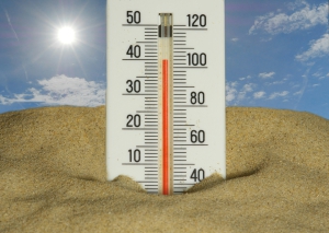 Gran Canaria Weather Month by Month