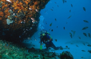 Watersports in Malaga