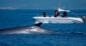 Watersports in Malaga