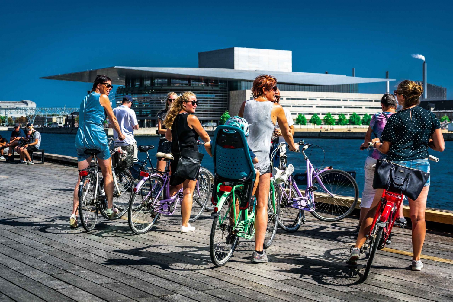 København: 3-timers privat guidet cykeltur
