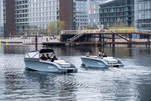 Copenhague : visite guidée des canaux en bateau électrique