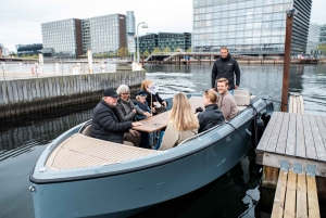 Copenhague : visite guidée des canaux en bateau électrique