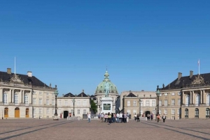 Copenaghen: Biglietto d'ingresso per il museo di Amalienborg