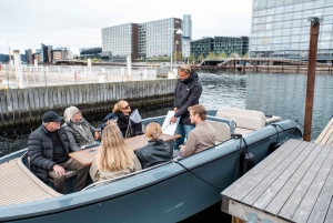 Copenhague : visite guidée des canaux en bateau électrique