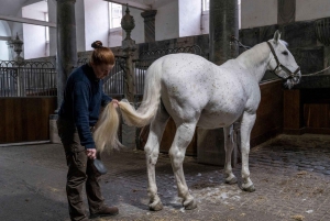 Kopenhagen: Ticket für Schloss Christiansborg