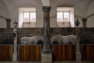 Kopenhagen: Ticket für Schloss Christiansborg