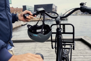 Copenhagen: Guided 2 Hour E-Bike Tour