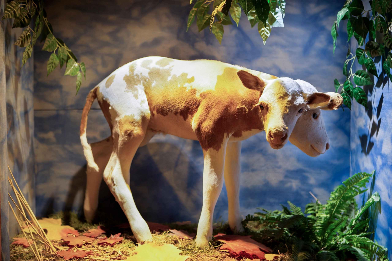 Kopenhagen: Ripley's Believe It or Not! Eintrittskarte