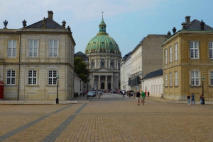 Copenaghen: tour privato a piedi con una guida locale