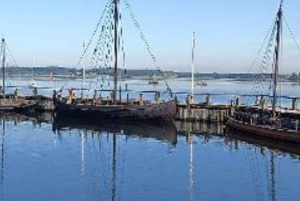 Een Big Easy-tour; kathedraal, Vikingschepen en Paleis