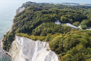 Fra København: Tur-retur til Møns Klint og Skovtårnet