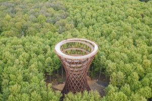 Fra København: Tur-retur til Møns Klint og Skovtårnet