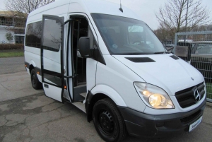 Fra København: Tur-retur til Møns Klint og Skovtårnet