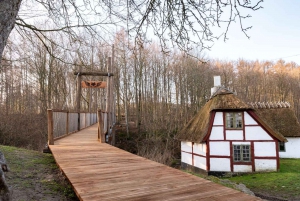 Fra København: Tur-retur til Møns Klint og Skovtårnet