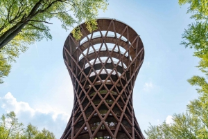 Fra København: Tur-retur til Møns Klint og Skovtårnet